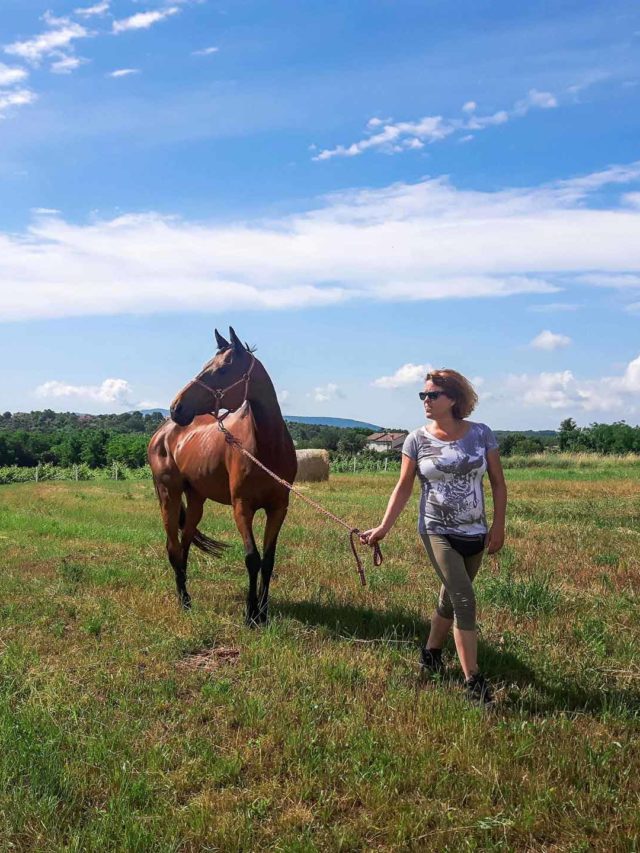 Relaxing Holiday in Istria - Golden Valley Ranch, Martinski Relaxing Holiday in Istria - Golden Valley Ranch, Martinski